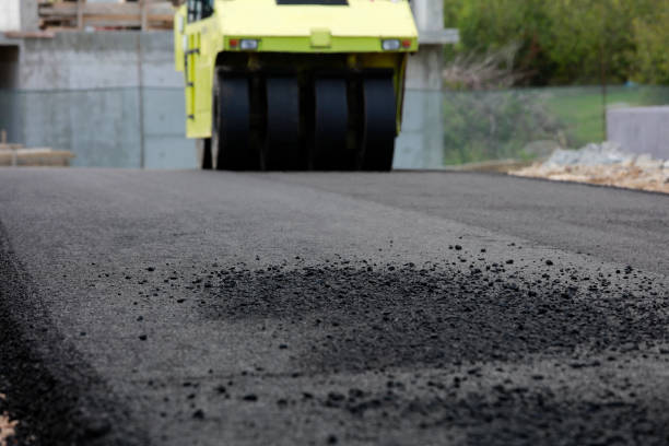 Best Concrete Paver Driveway  in Pinellas Park, FL